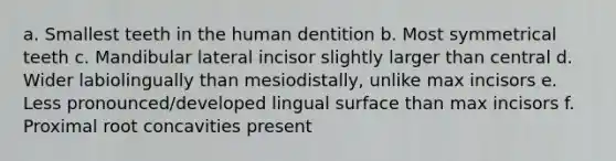 a. Smallest teeth in the human dentition b. Most symmetrical teeth c. Mandibular lateral incisor slightly larger than central d. Wider labiolingually than mesiodistally, unlike max incisors e. Less pronounced/developed lingual surface than max incisors f. Proximal root concavities present