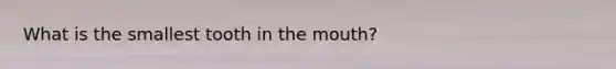 What is the smallest tooth in the mouth?