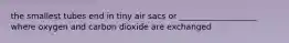 the smallest tubes end in tiny air sacs or ___________________ where oxygen and carbon dioxide are exchanged