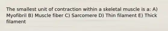 The smallest unit of contraction within a skeletal muscle is a: A) Myofibril B) Muscle fiber C) Sarcomere D) Thin filament E) Thick filament