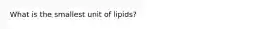 What is the smallest unit of lipids?