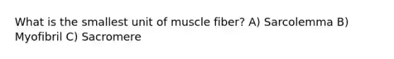 What is the smallest unit of muscle fiber? A) Sarcolemma B) Myofibril C) Sacromere