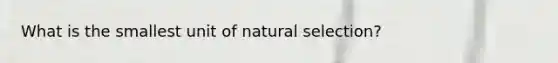 What is the smallest unit of natural selection?