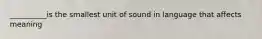 __________is the smallest unit of sound in language that affects meaning