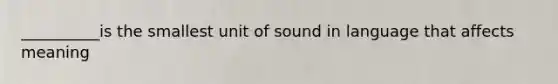 __________is the smallest unit of sound in language that affects meaning