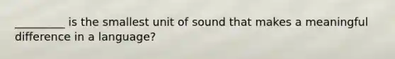 _________ is the smallest unit of sound that makes a meaningful difference in a language?