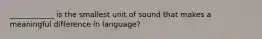 ____________ is the smallest unit of sound that makes a meaningful difference in language?