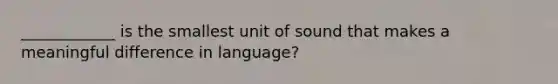 ____________ is the smallest unit of sound that makes a meaningful difference in language?