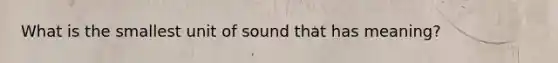 What is the smallest unit of sound that has meaning?