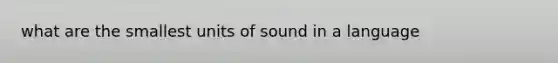 what are the smallest units of sound in a language