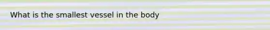 What is the smallest vessel in the body