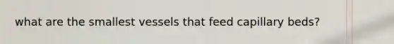 what are the smallest vessels that feed capillary beds?