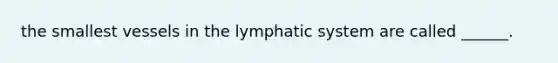 the smallest vessels in the lymphatic system are called ______.