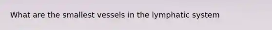 What are the smallest vessels in the lymphatic system