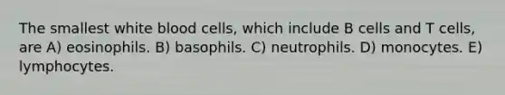 The smallest white blood cells, which include B cells and T cells, are A) eosinophils. B) basophils. C) neutrophils. D) monocytes. E) lymphocytes.