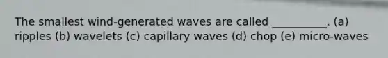 The smallest wind-generated waves are called __________. (a) ripples (b) wavelets (c) capillary waves (d) chop (e) micro-waves