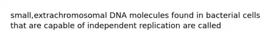 small,extrachromosomal DNA molecules found in bacterial cells that are capable of independent replication are called