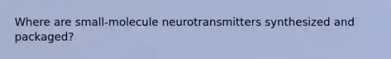 Where are small-molecule neurotransmitters synthesized and packaged?