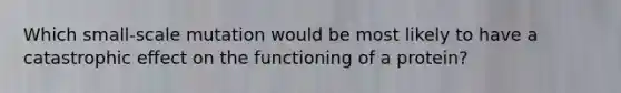 Which small-scale mutation would be most likely to have a catastrophic effect on the functioning of a protein?