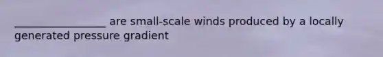 _________________ are small-scale winds produced by a locally generated pressure gradient