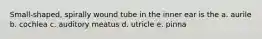 Small-shaped, spirally wound tube in the inner ear is the a. aurile b. cochlea c. auditory meatus d. utricle e. pinna