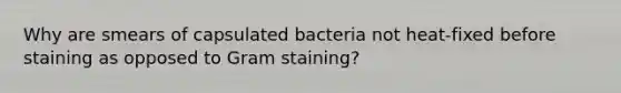 Why are smears of capsulated bacteria not heat-fixed before staining as opposed to Gram staining?