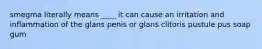 smegma literally means ____ it can cause an irritation and inflammation of the glans penis or glans clitoris pustule pus soap gum