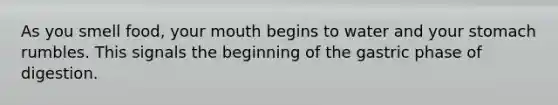 As you smell food, your mouth begins to water and your stomach rumbles. This signals the beginning of the gastric phase of digestion.