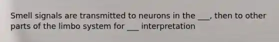 Smell signals are transmitted to neurons in the ___, then to other parts of the limbo system for ___ interpretation