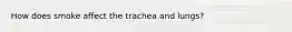 How does smoke affect the trachea and lungs?