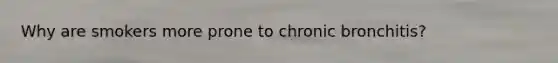 Why are smokers more prone to chronic bronchitis?