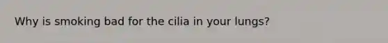 Why is smoking bad for the cilia in your lungs?