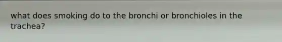 what does smoking do to the bronchi or bronchioles in the trachea?