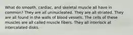 What do smooth, cardiac, and skeletal muscle all have in common? They are all uninucleated. They are all striated. They are all found in the walls of blood vessels. The cells of these muscles are all called muscle fibers. They all interlock at intercalated disks.