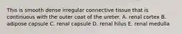This is smooth dense irregular connective tissue that is continuous with the outer coat of the ureter. A. renal cortex B. adipose capsule C. renal capsule D. renal hilus E. renal medulla