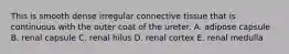 This is smooth dense irregular connective tissue that is continuous with the outer coat of the ureter. A. adipose capsule B. renal capsule C. renal hilus D. renal cortex E. renal medulla