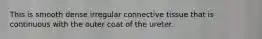 This is smooth dense irregular connective tissue that is continuous with the outer coat of the ureter.