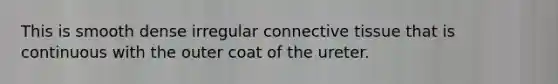 This is smooth dense irregular connective tissue that is continuous with the outer coat of the ureter.