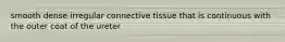smooth dense irregular connective tissue that is continuous with the outer coat of the ureter