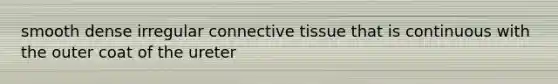 smooth dense irregular connective tissue that is continuous with the outer coat of the ureter