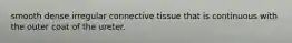 smooth dense irregular connective tissue that is continuous with the outer coat of the ureter.