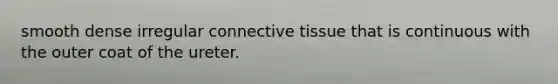 smooth dense irregular connective tissue that is continuous with the outer coat of the ureter.