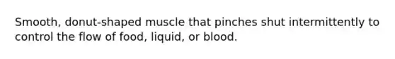 Smooth, donut-shaped muscle that pinches shut intermittently to control the flow of food, liquid, or blood.