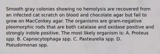 Smooth gray colonies showing no hemolysis are recovered from an infected cat scratch on blood and chocolate agar but fail to grow on MacConkey agar. The organisms are gram-negative pleomorphic rods that are both catalase and oxidase positive and strongly indole positive. The most likely organism is: A. Proteus spp. B. Capnocytophaga spp. C. Pasteurella spp. D. Pseudomonas spp.