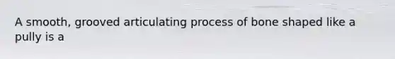 A smooth, grooved articulating process of bone shaped like a pully is a