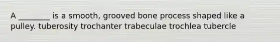 A ________ is a smooth, grooved bone process shaped like a pulley. tuberosity trochanter trabeculae trochlea tubercle