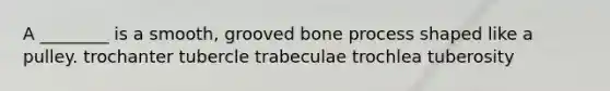 A ________ is a smooth, grooved bone process shaped like a pulley. trochanter tubercle trabeculae trochlea tuberosity