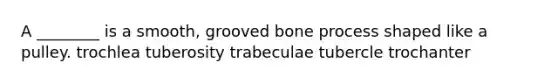 A ________ is a smooth, grooved bone process shaped like a pulley. trochlea tuberosity trabeculae tubercle trochanter