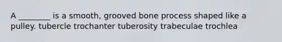 A ________ is a smooth, grooved bone process shaped like a pulley. tubercle trochanter tuberosity trabeculae trochlea