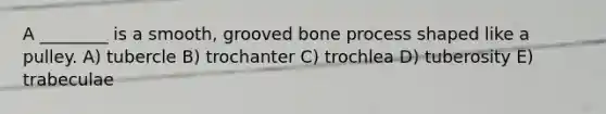 A ________ is a smooth, grooved bone process shaped like a pulley. A) tubercle B) trochanter C) trochlea D) tuberosity E) trabeculae